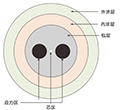 60微米保偏光纤